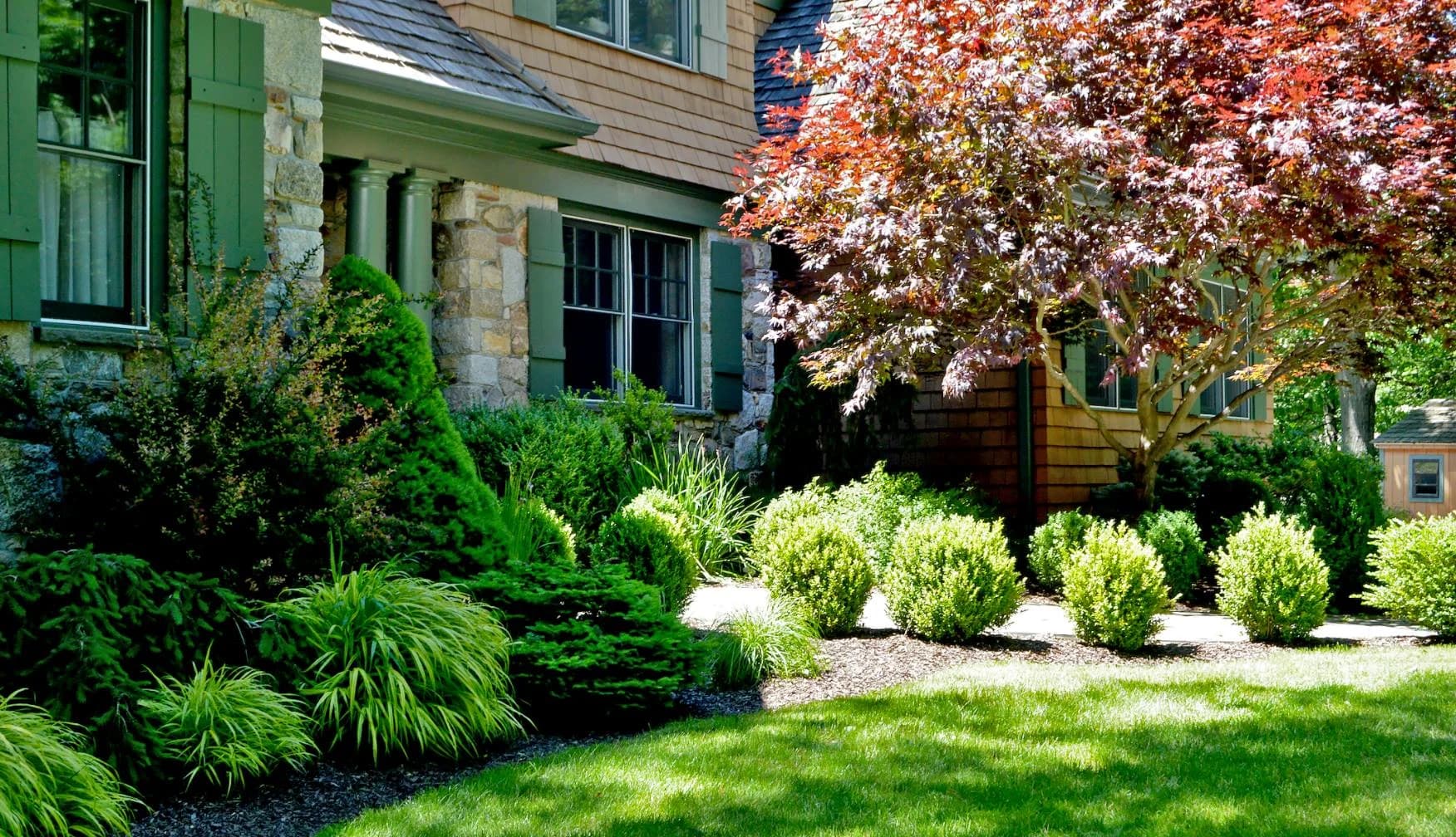 Tree & Shrub Planting Services in Richmond, VA