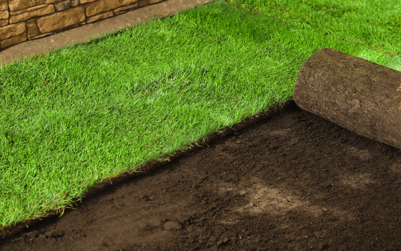 Sod Installation Services in Richmond, VA