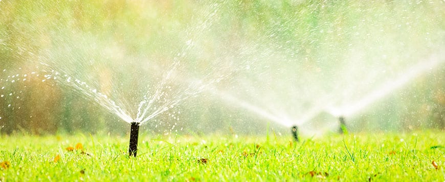 Irrigation System Installation project 5
